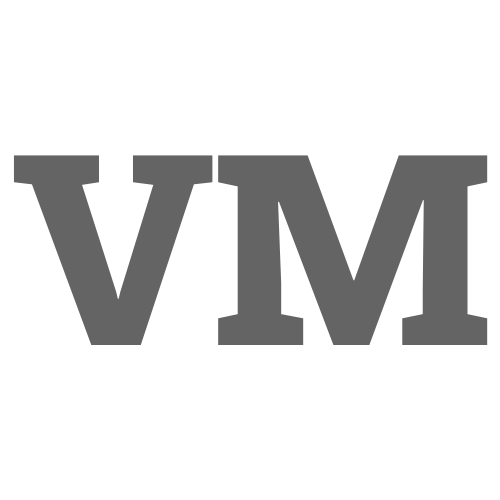 Logo: VVS Mester