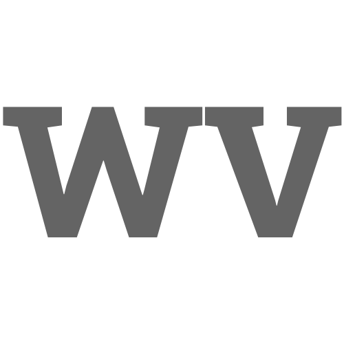 Logo: World View Media House