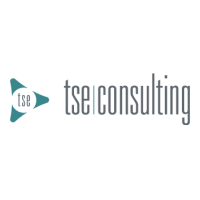 Logo: TSE Consulting Scandinavia