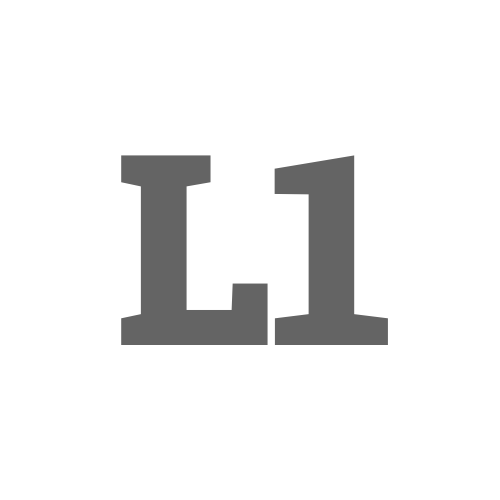 Logo: Level 11