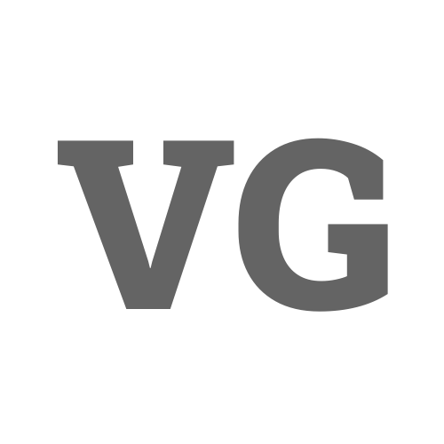 Logo: VSI Group Denmark