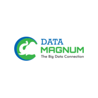 Logo: Data Magnum Europa, Lda.