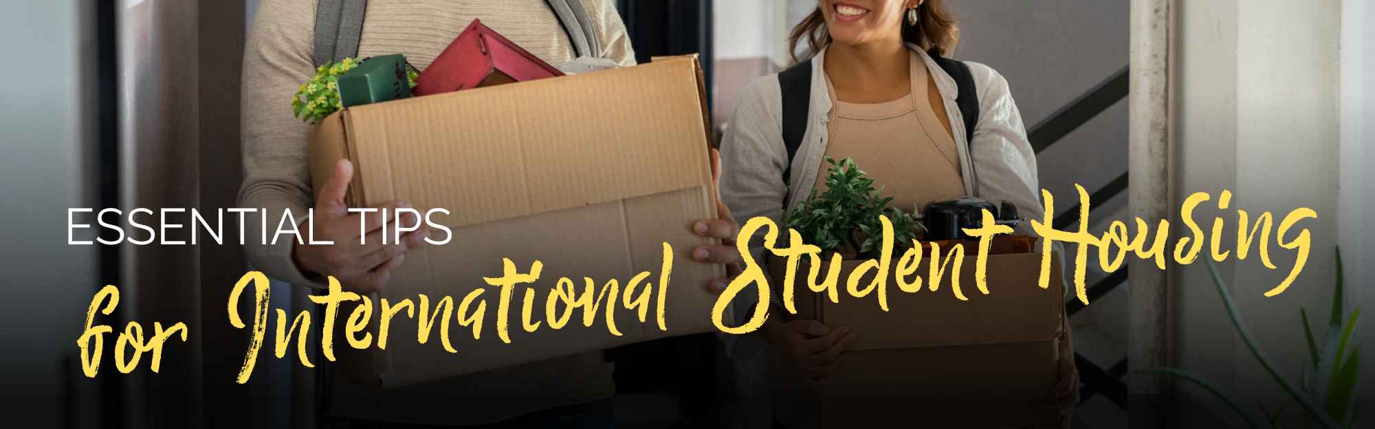 Tips for international student housing in Denmark